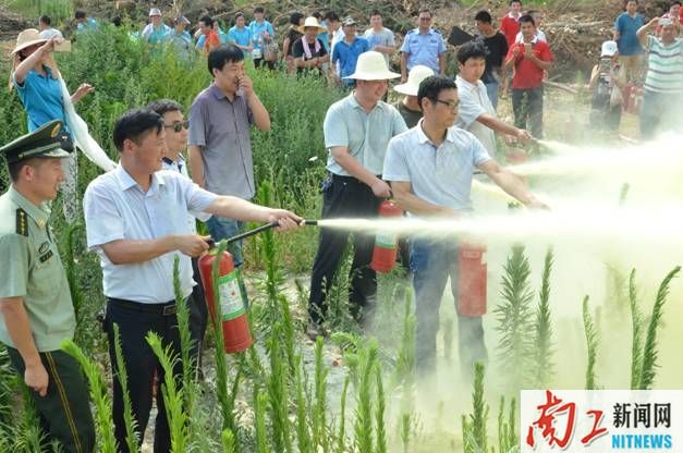 2016-06-23_113910_168387.jpg clip_image002.jpg